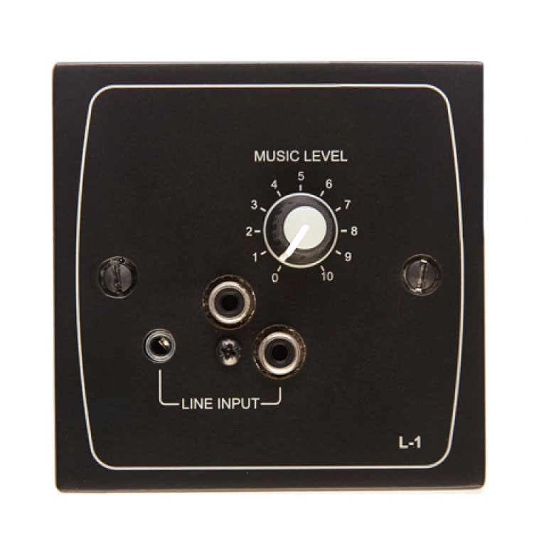 L-1